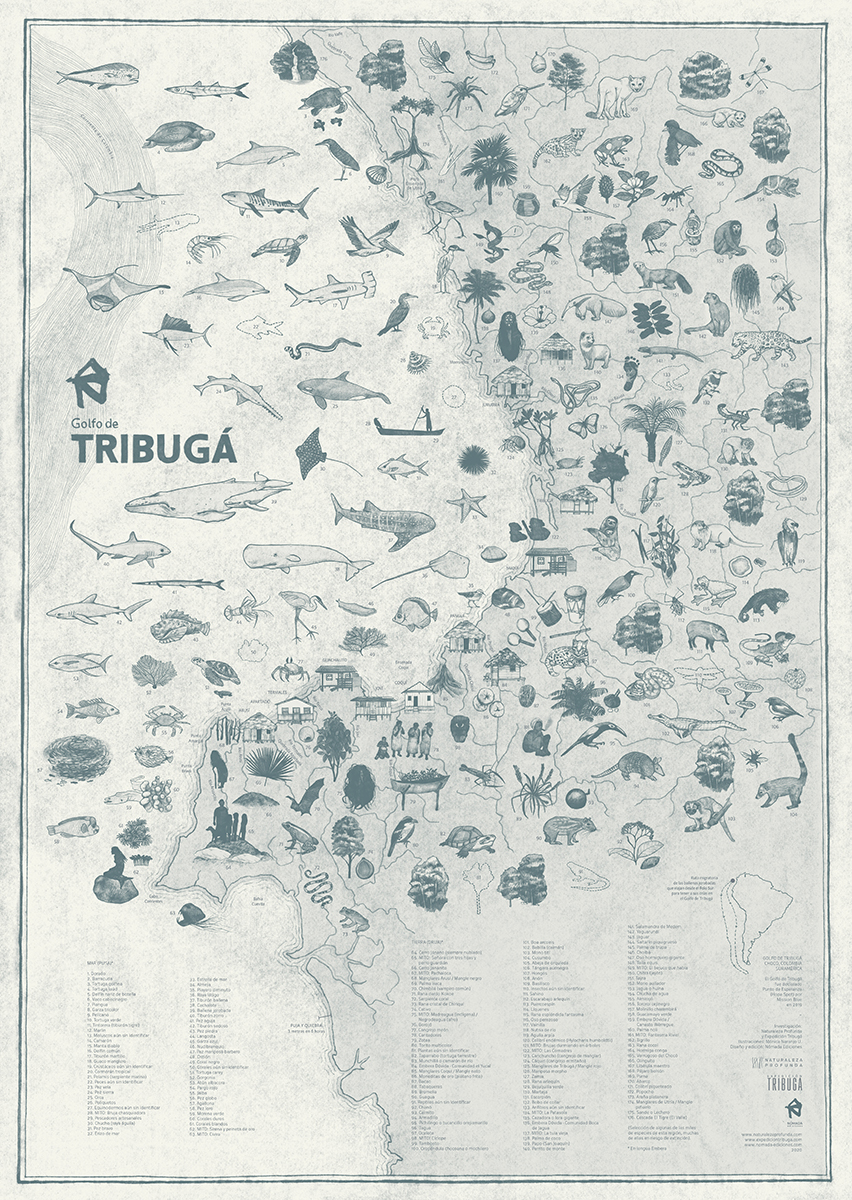 Mapa Ilustrado del Golfo de Tribugá