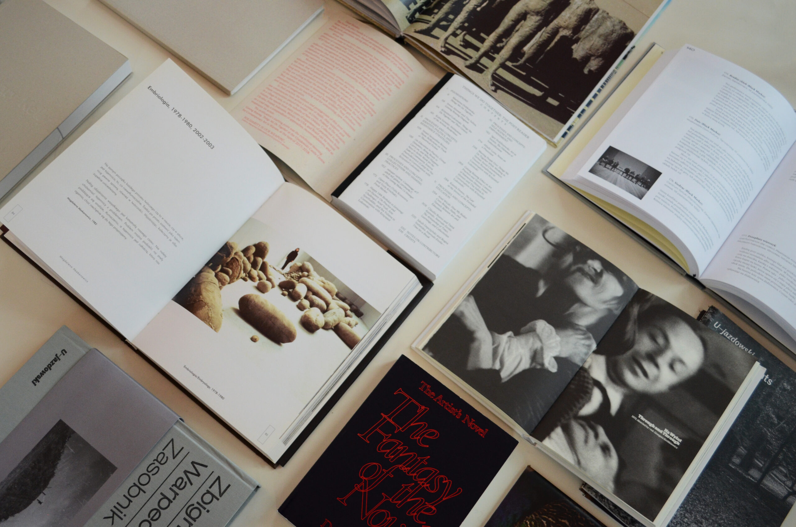 Books about artists and art published by the Ujazdowski Castle Centre for Contemporary Art