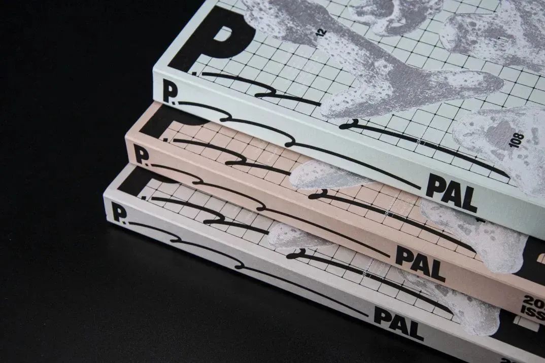 P_PAL ISSUE2