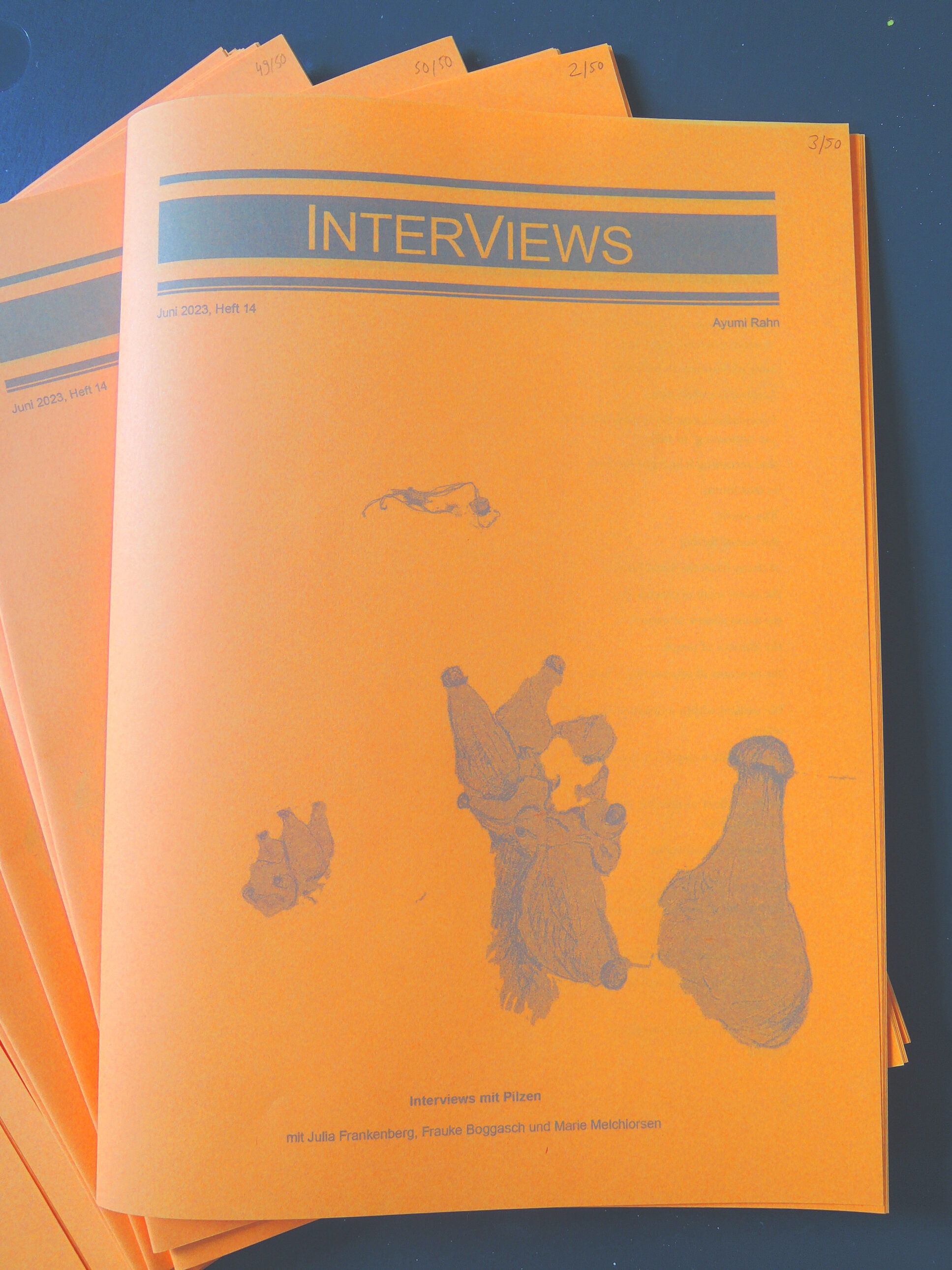 InterViews Heft 14