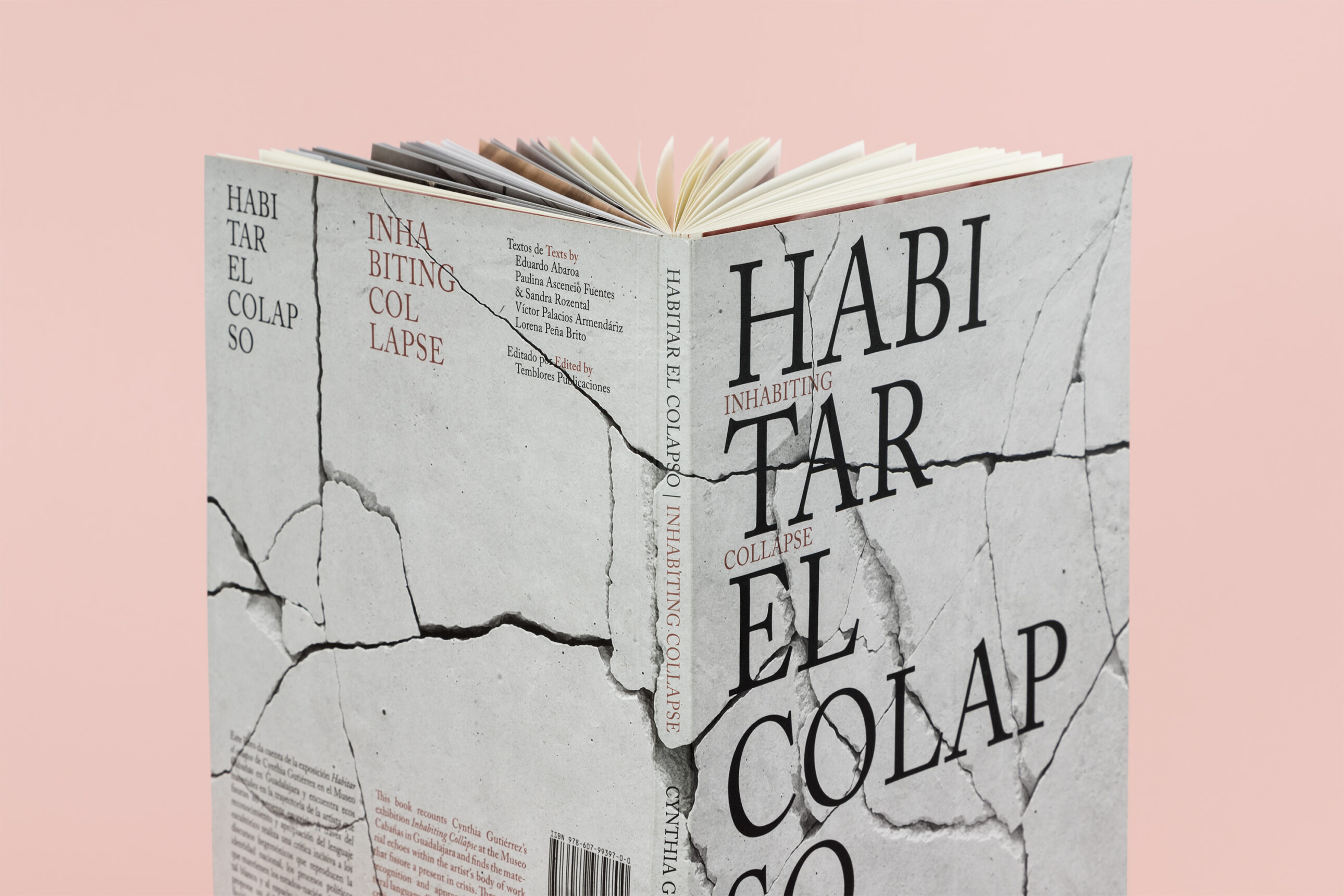 Habitar el colapso