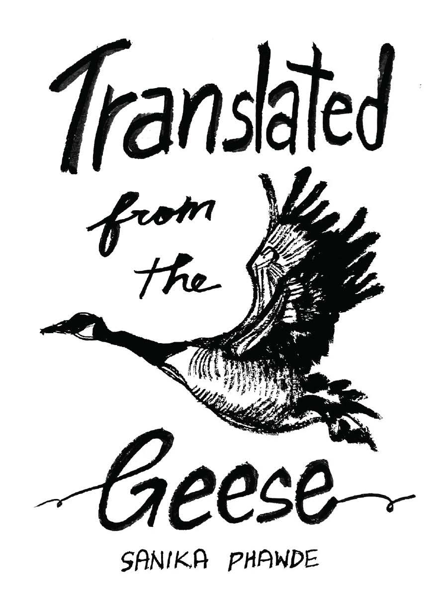 Translated from the geese