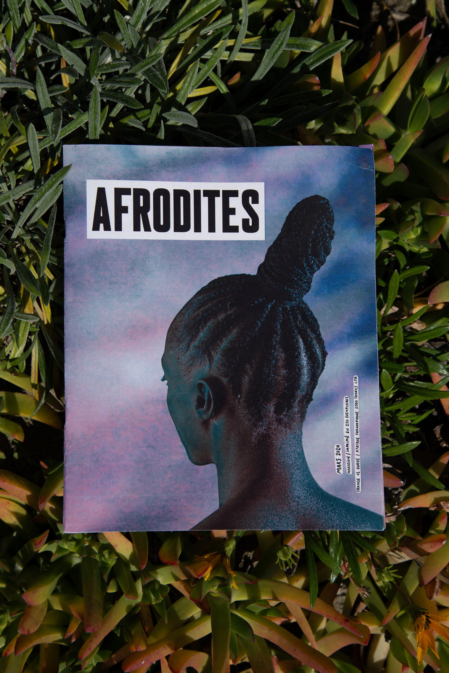 Cover of Afrodites