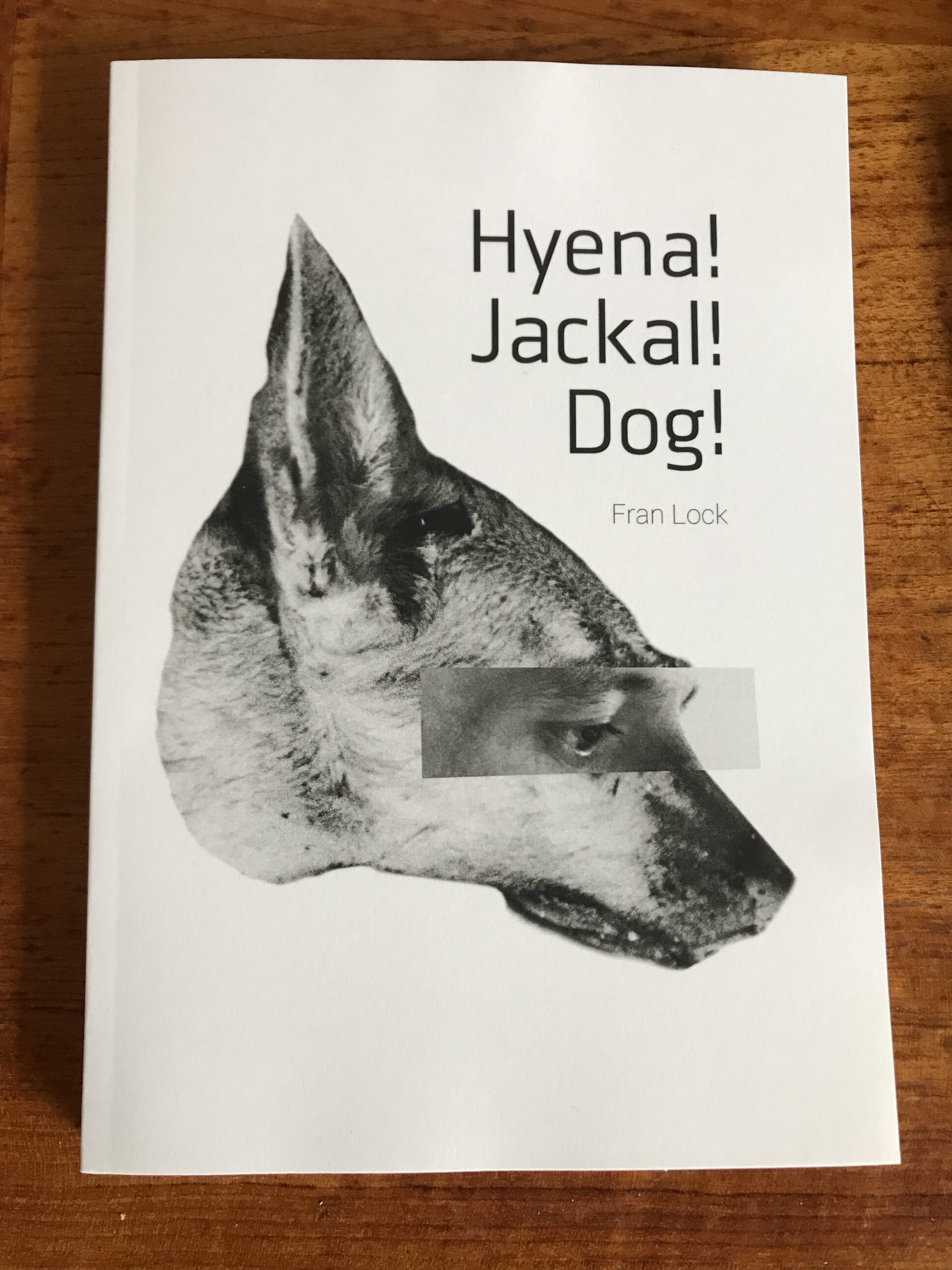 Hyena! Jackal! Dog!