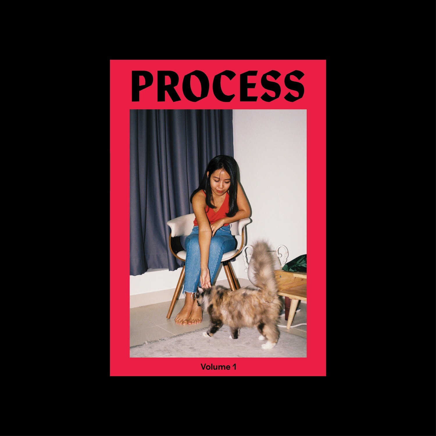 Process Magazine Volume One (Second Edition): “Scarcity by Design”.⁣