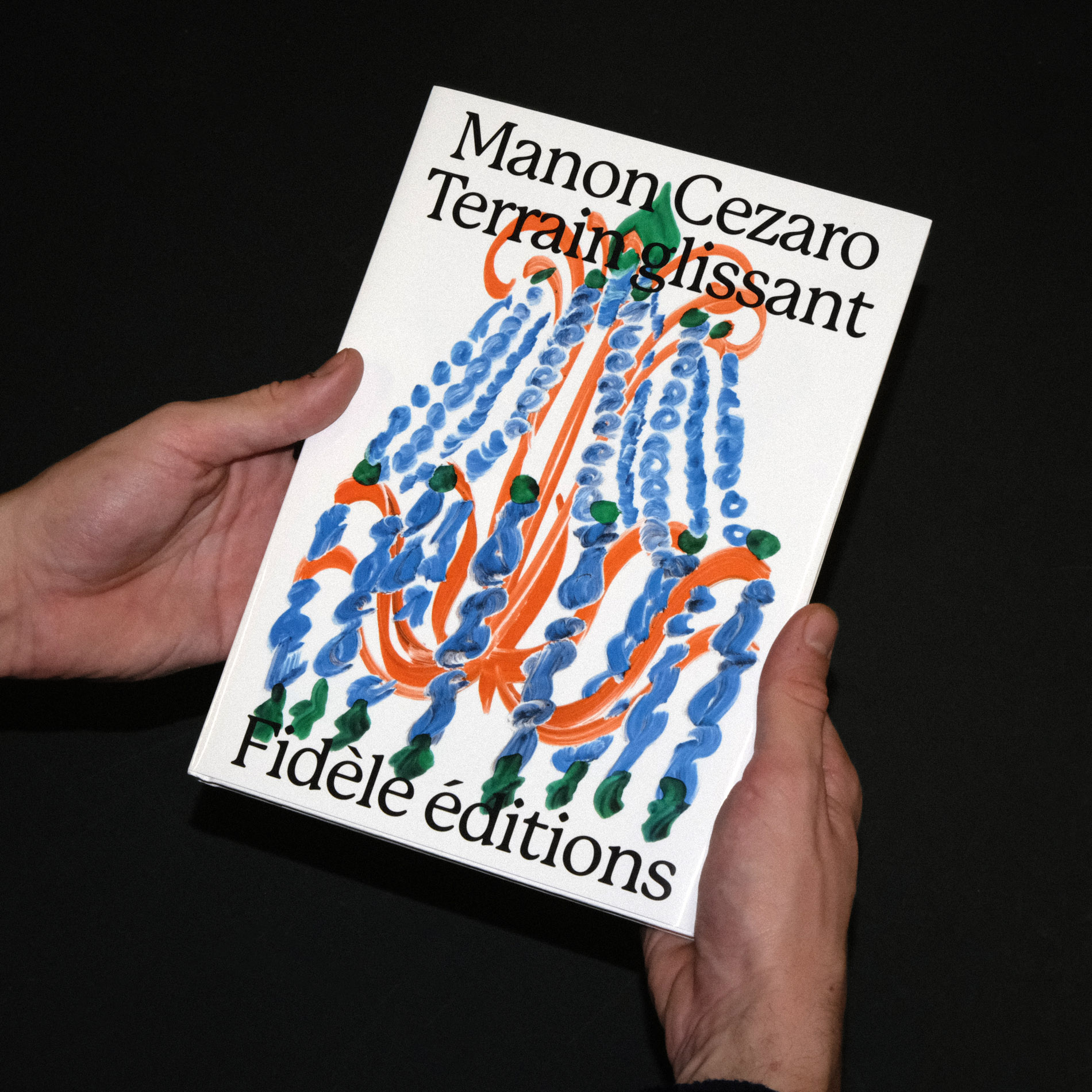 Terrain Glissant