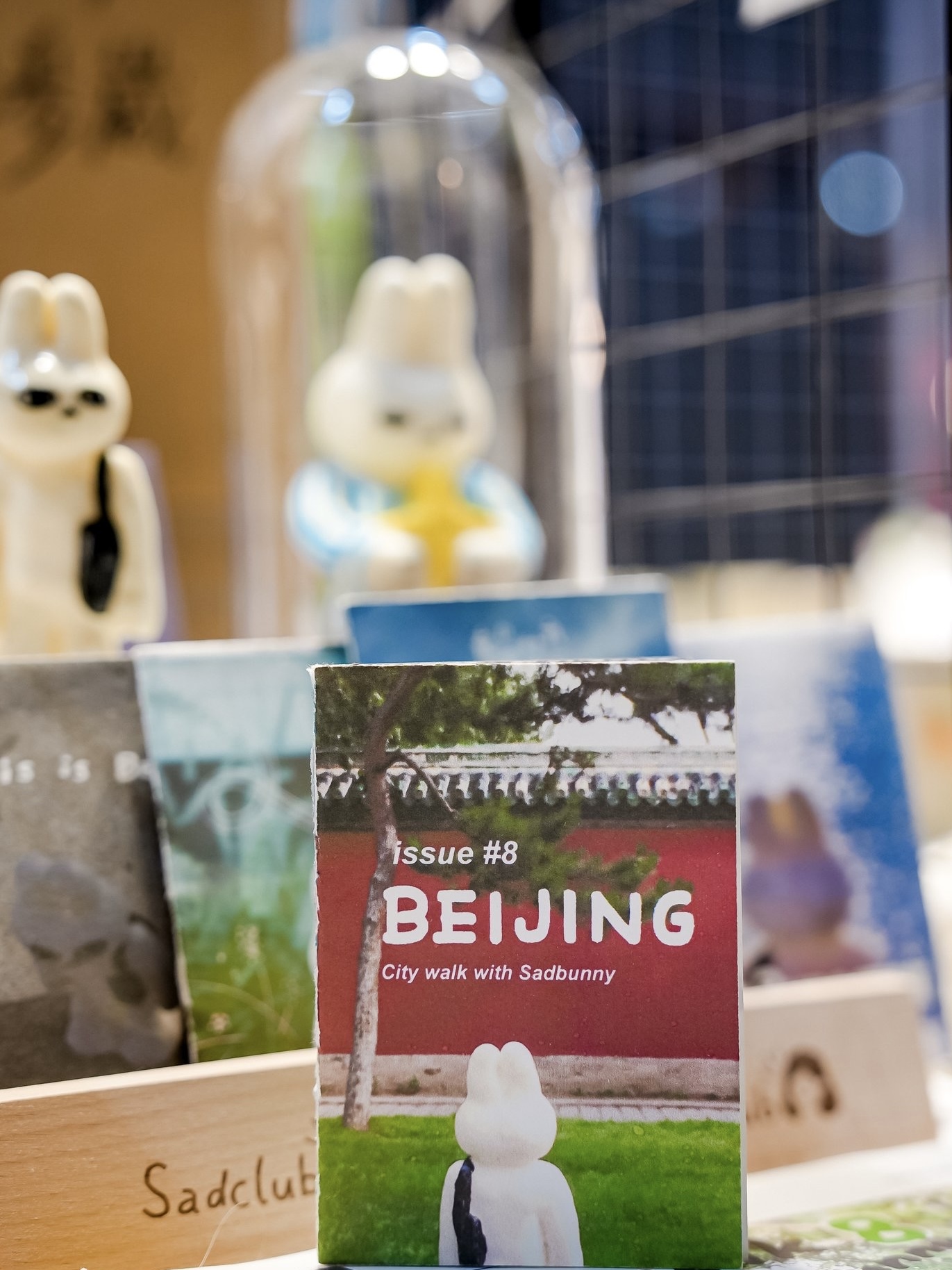 《City Walk with Sadbunny》walking tabloids with handmade zines，issue 1-12