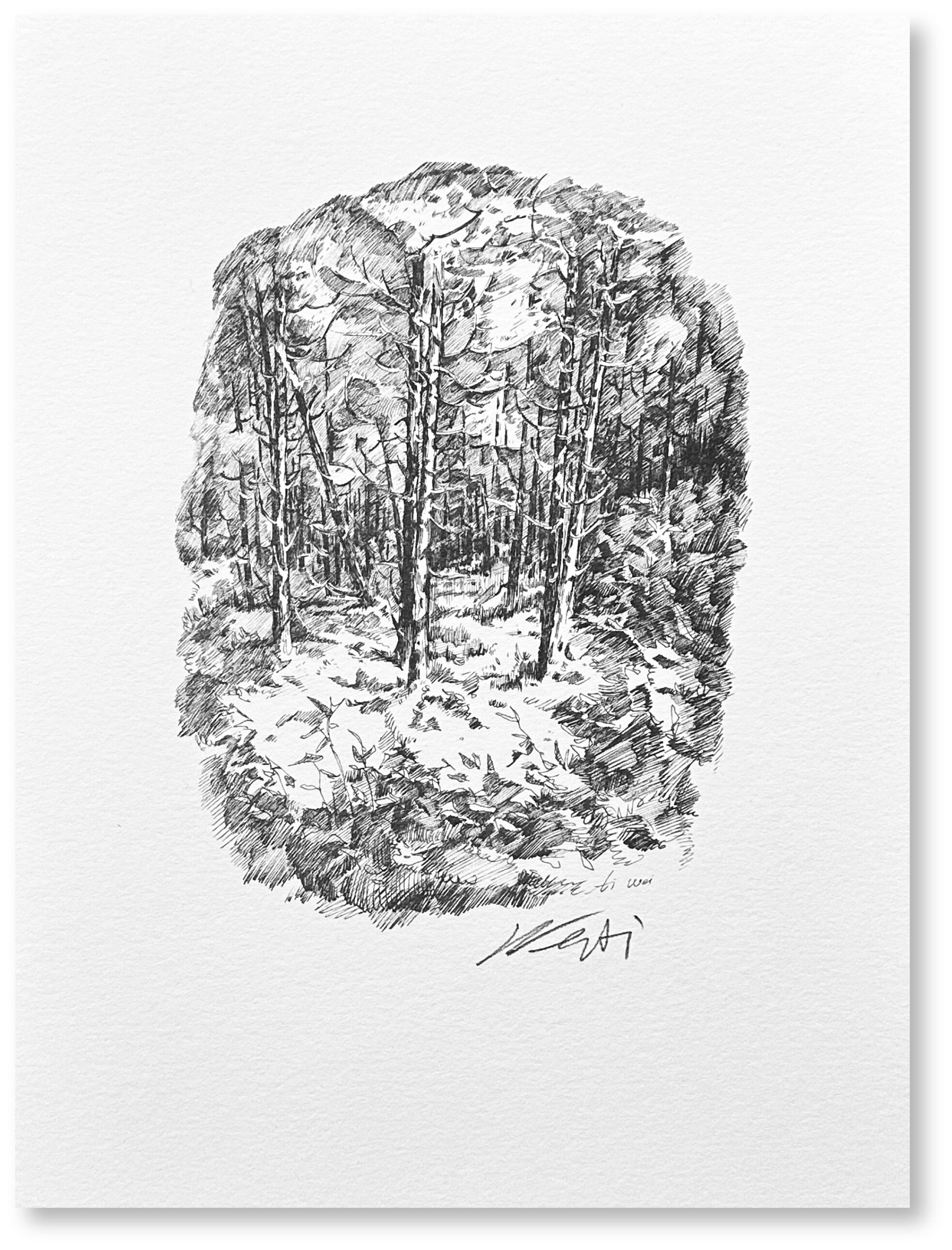 Forest (1977)
