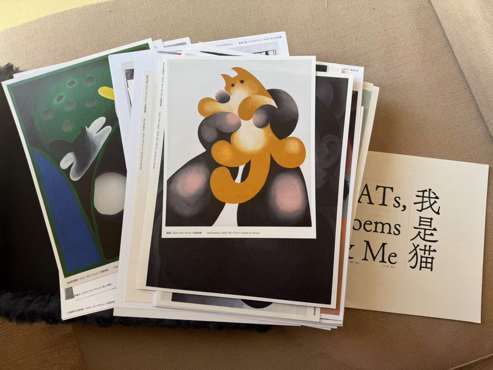 Cats, Poems & Me