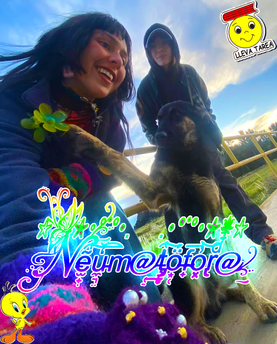 Neumatofora