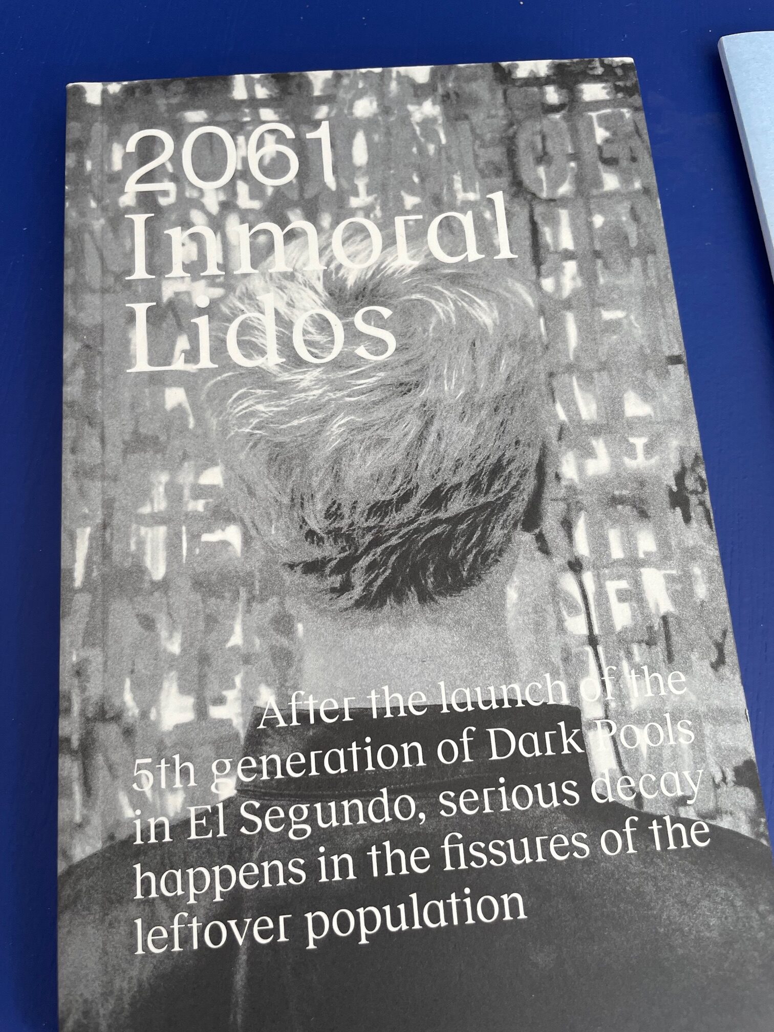 2061 Inmoral Lidos (Space Poetry)