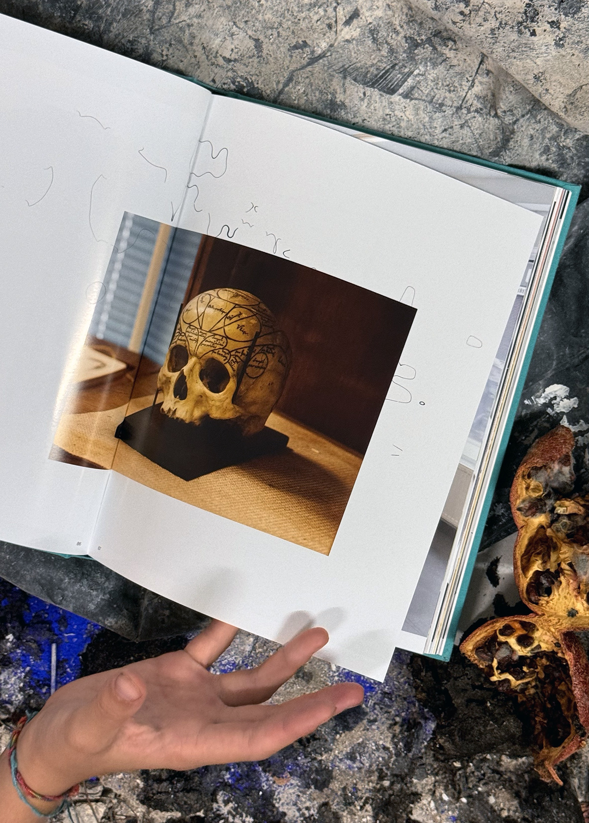 ArtMap