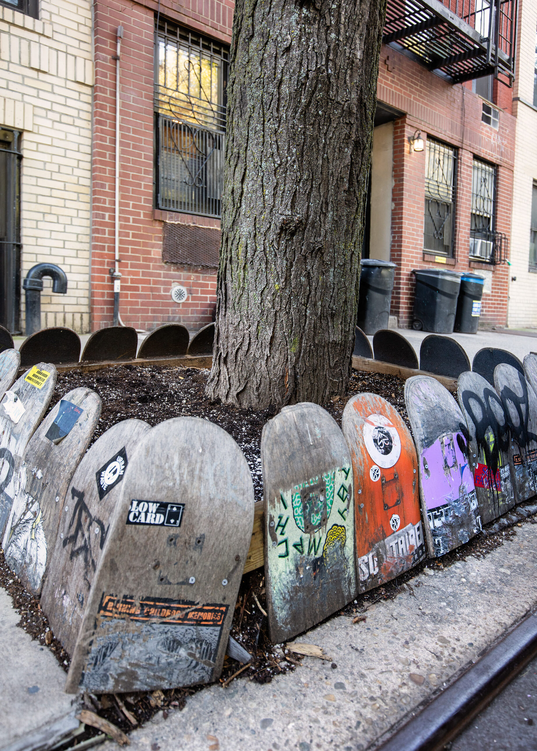 Street Tree Tarot