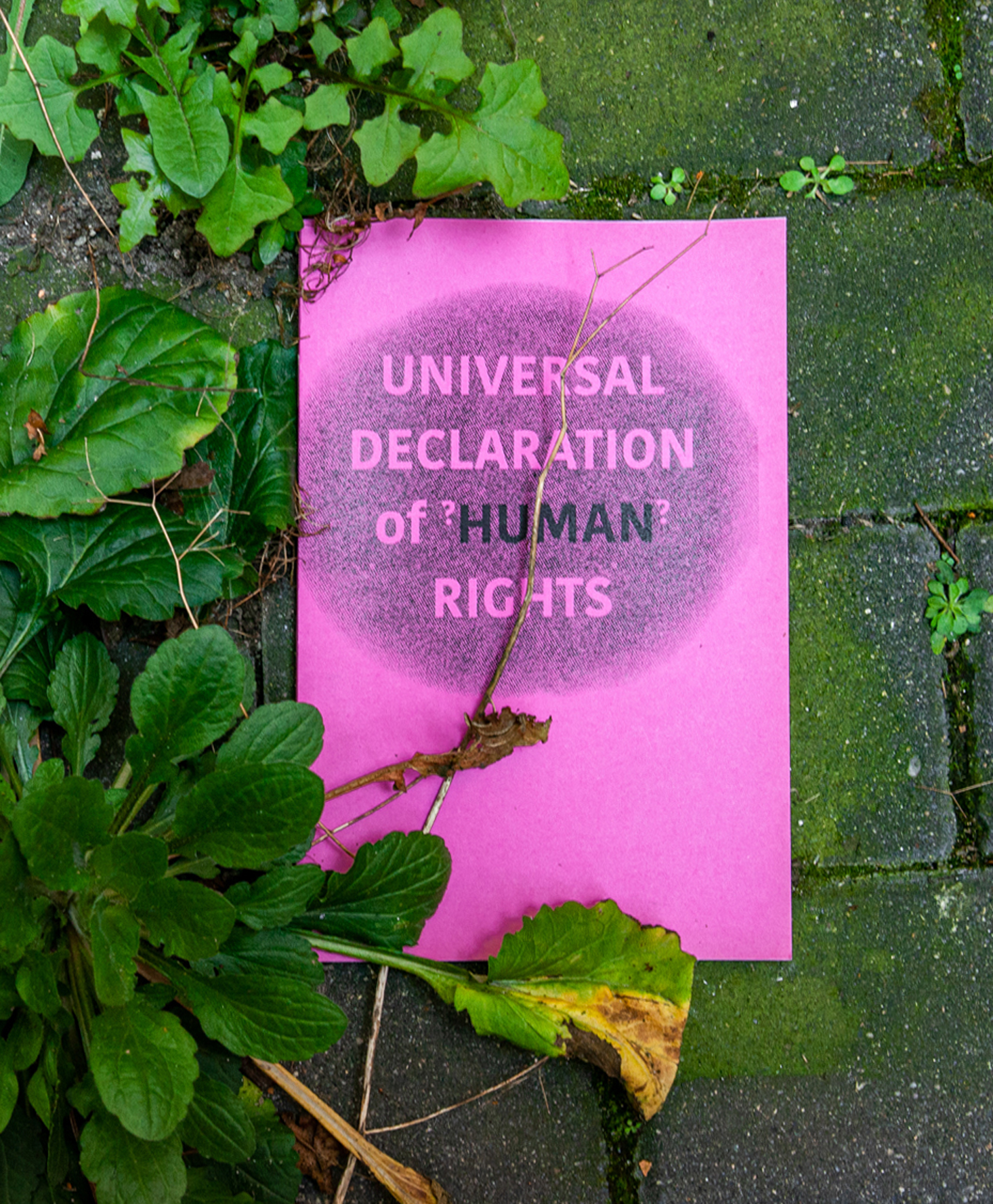 UNIVERSAL DECLARATION of ?HUMAN? RIGHTS