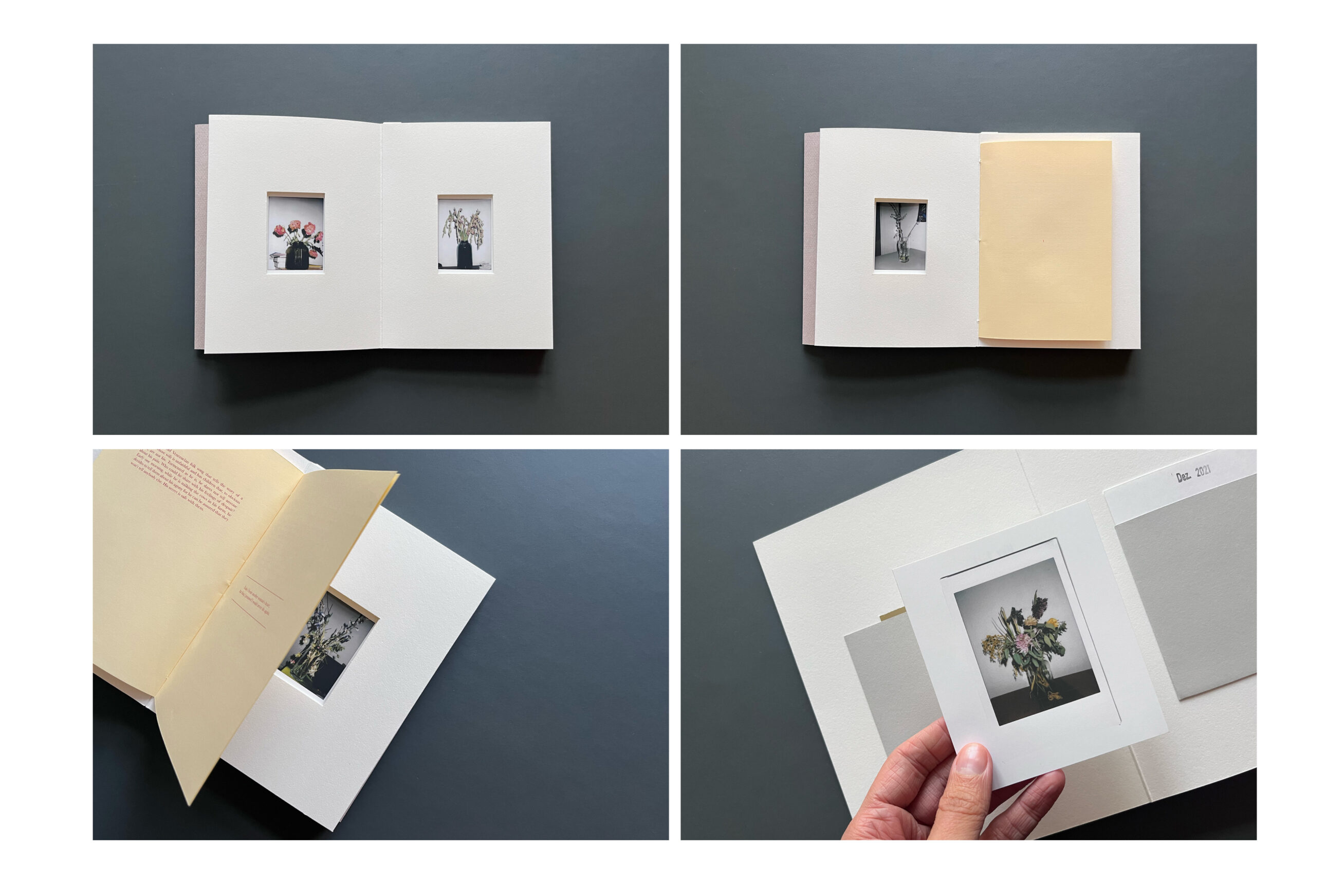 The nestmaker / The home-wrecker