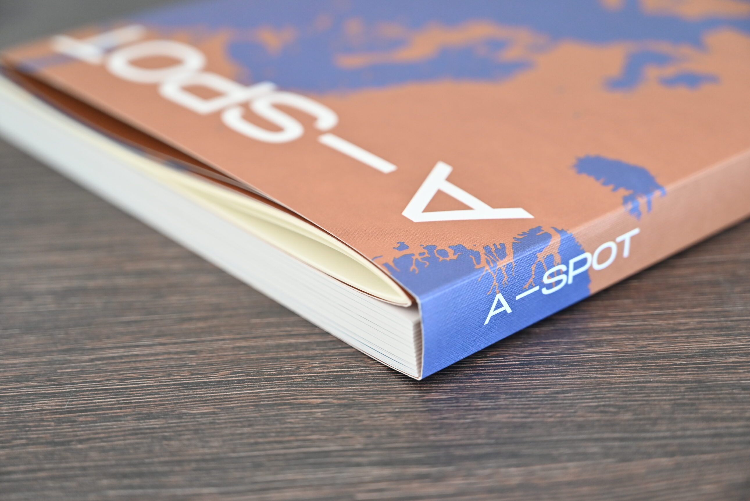 A-SPOT: a Journey into the World of Airplane Spotting