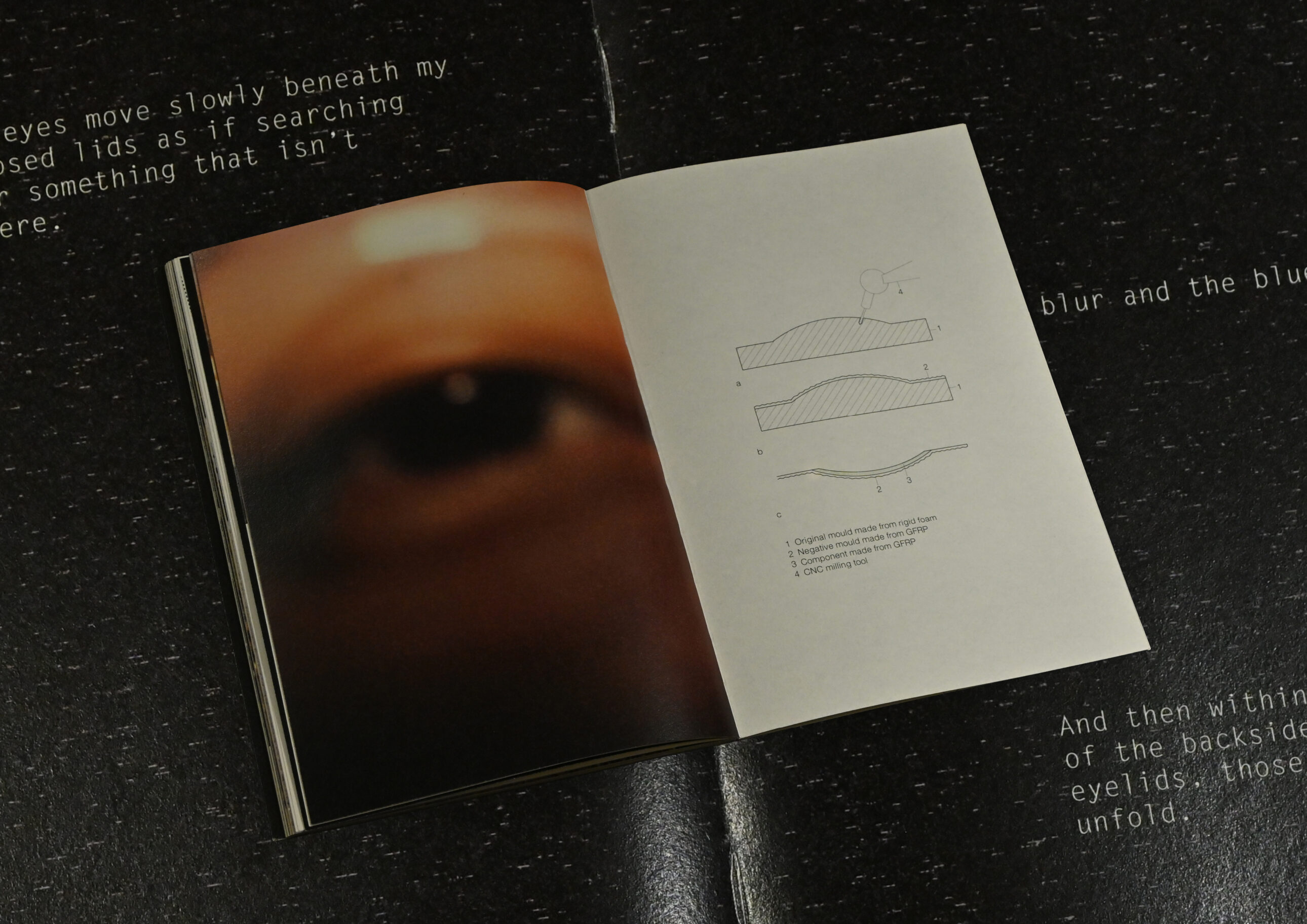 Grass dictionary vol.2