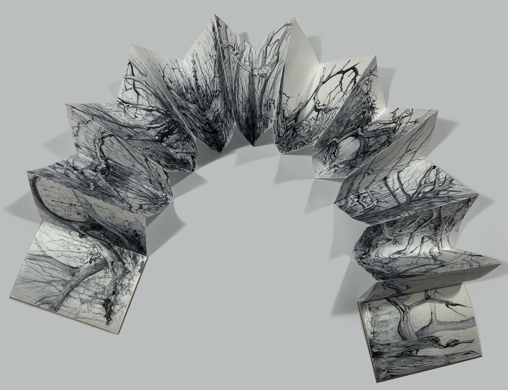 A Walk through Winter Woods