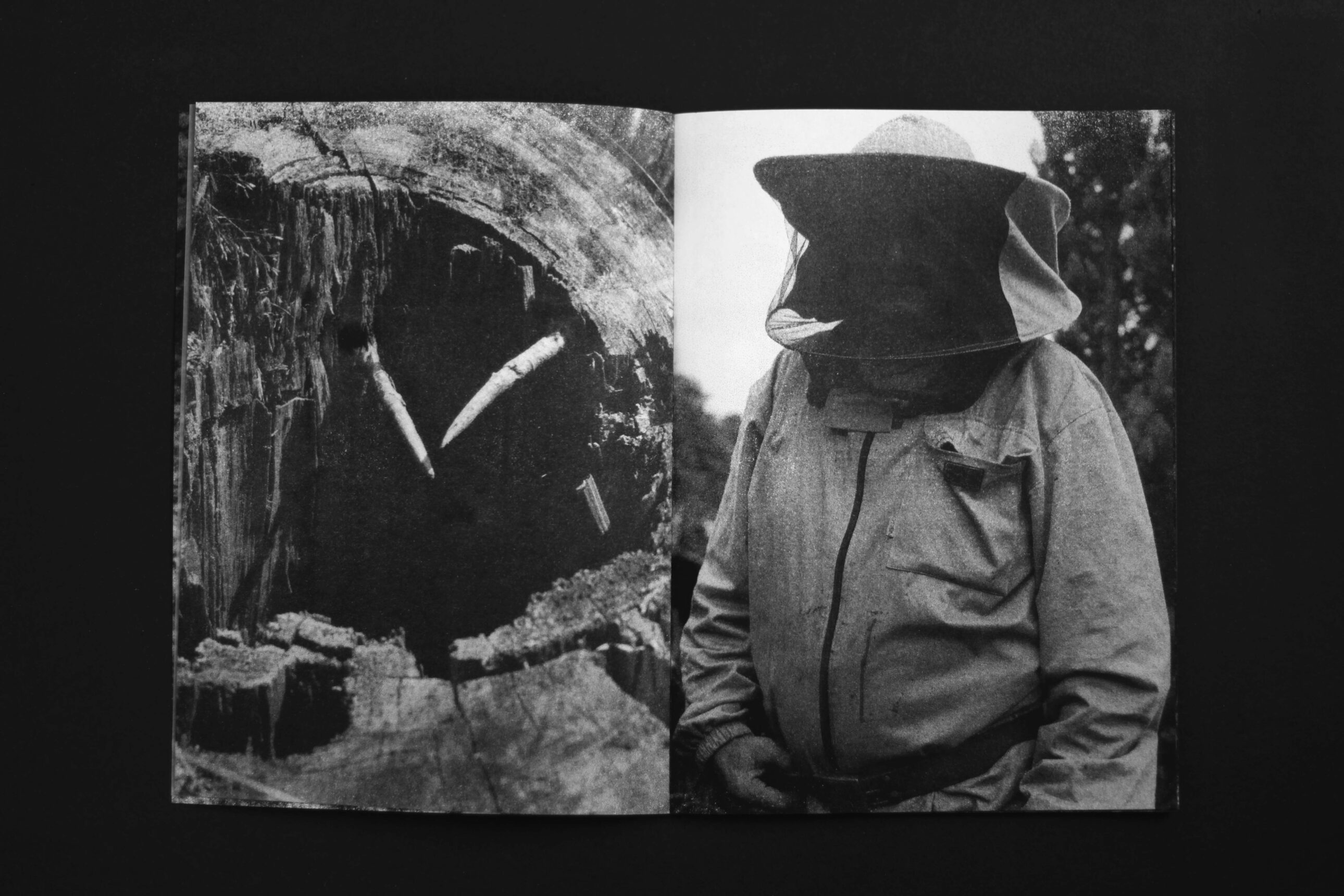 leave the bones in a better place