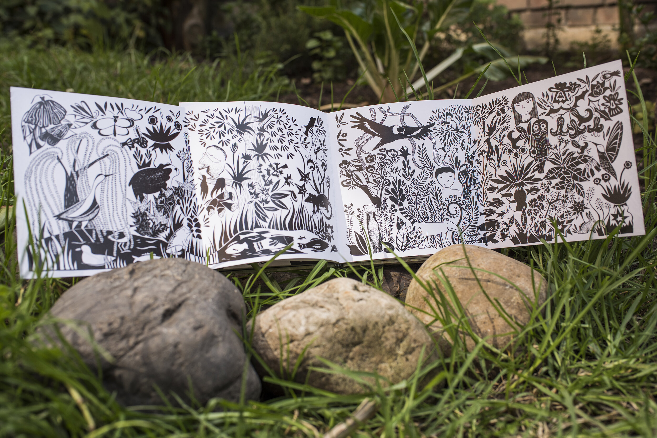 Miradas en Espejos de agua