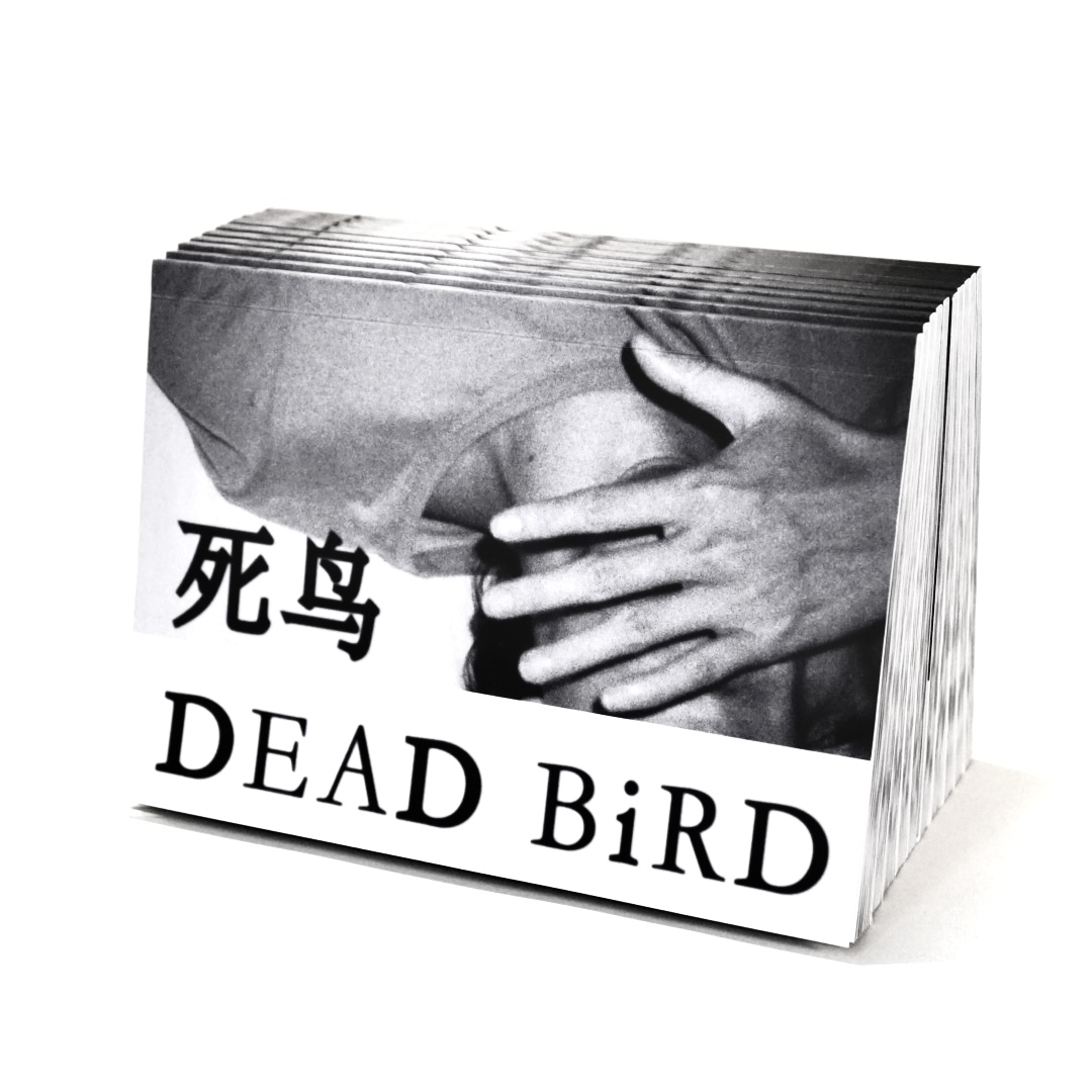Dead Bird 死鸟