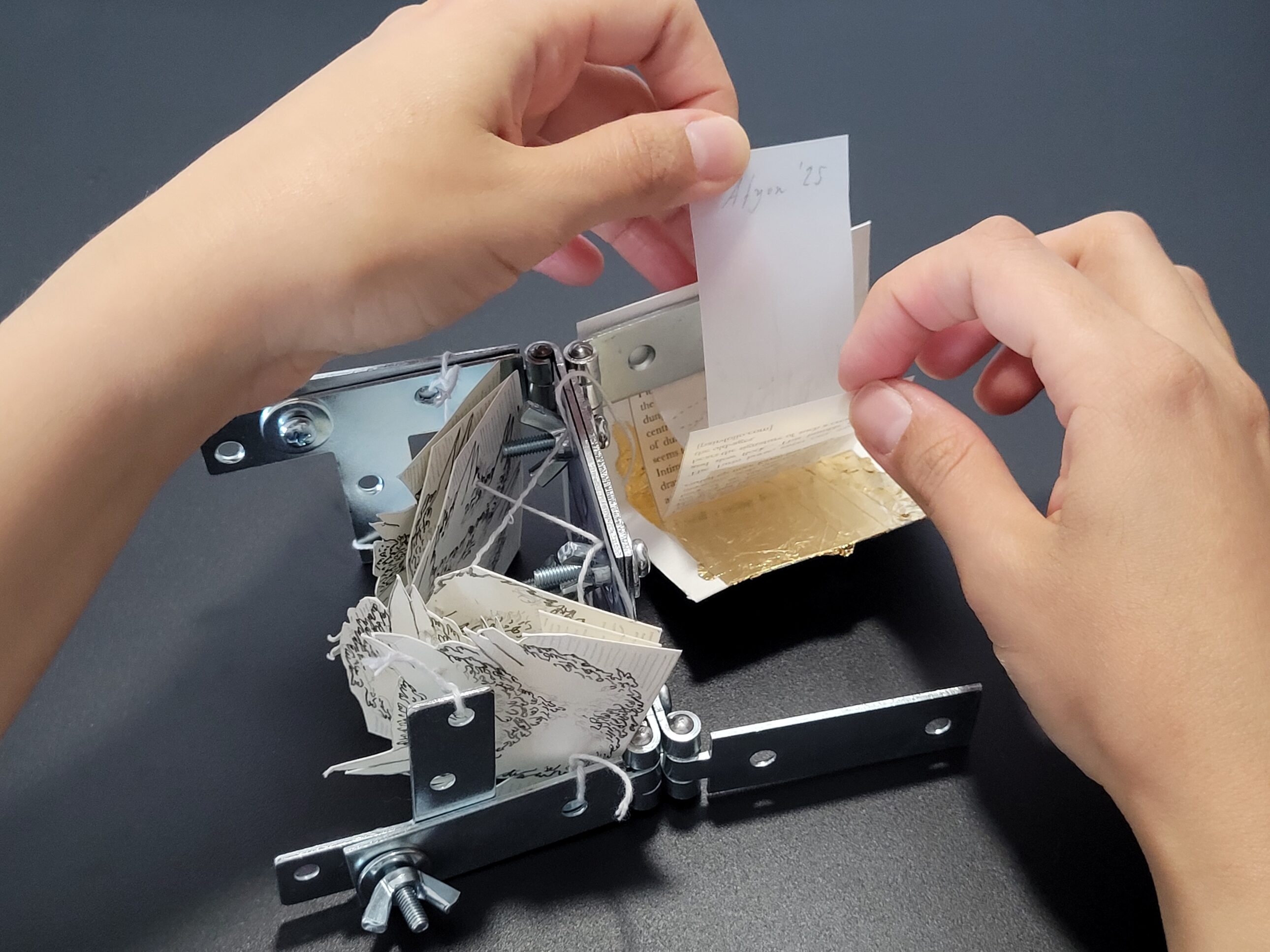 acheiropoieta: on animals, viscerality, dung & a facade