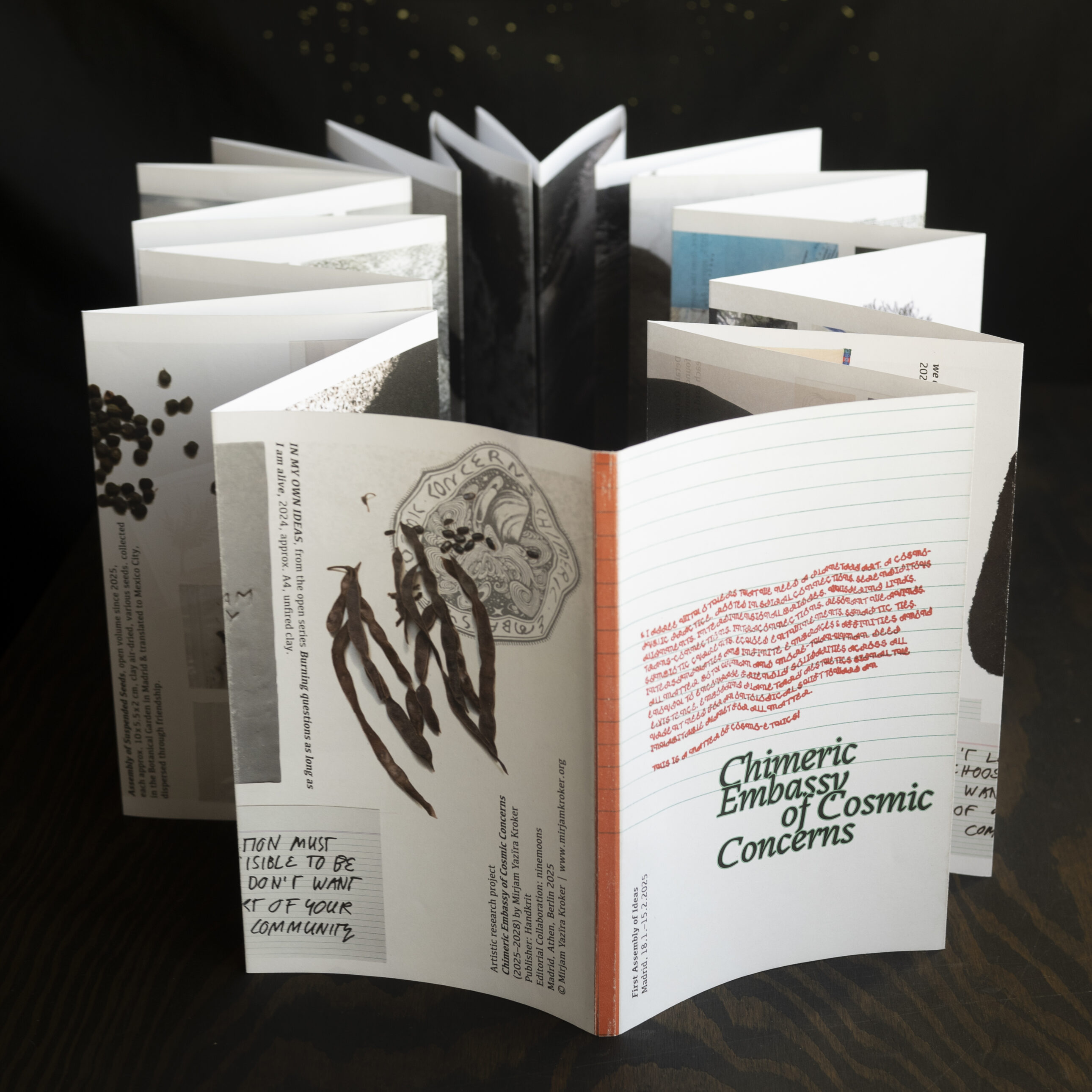 Chimeric Embassy of Cosmic Concerns