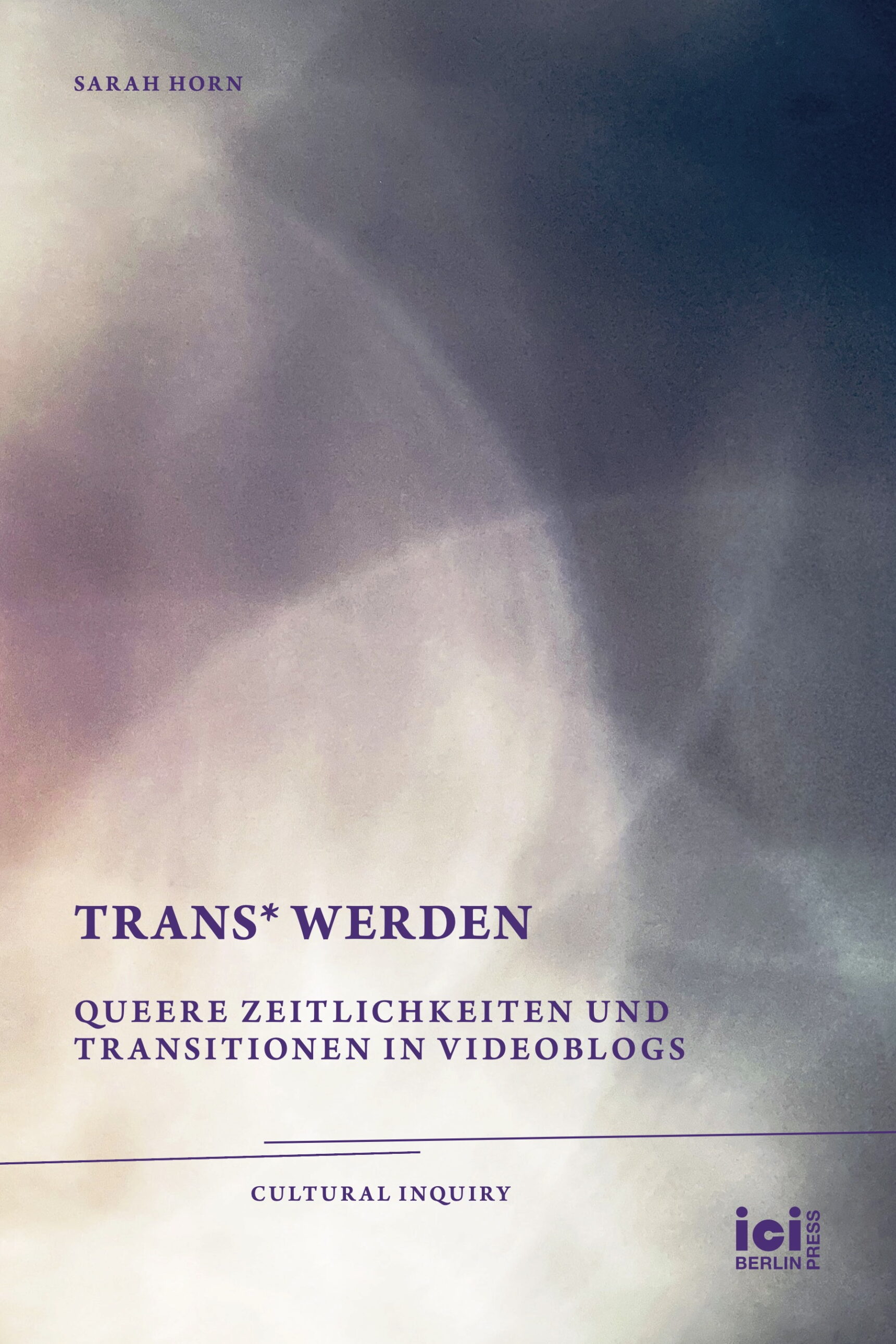 trans* Werden Queere Zeitlichkeiten und Transitionen in Videoblogs