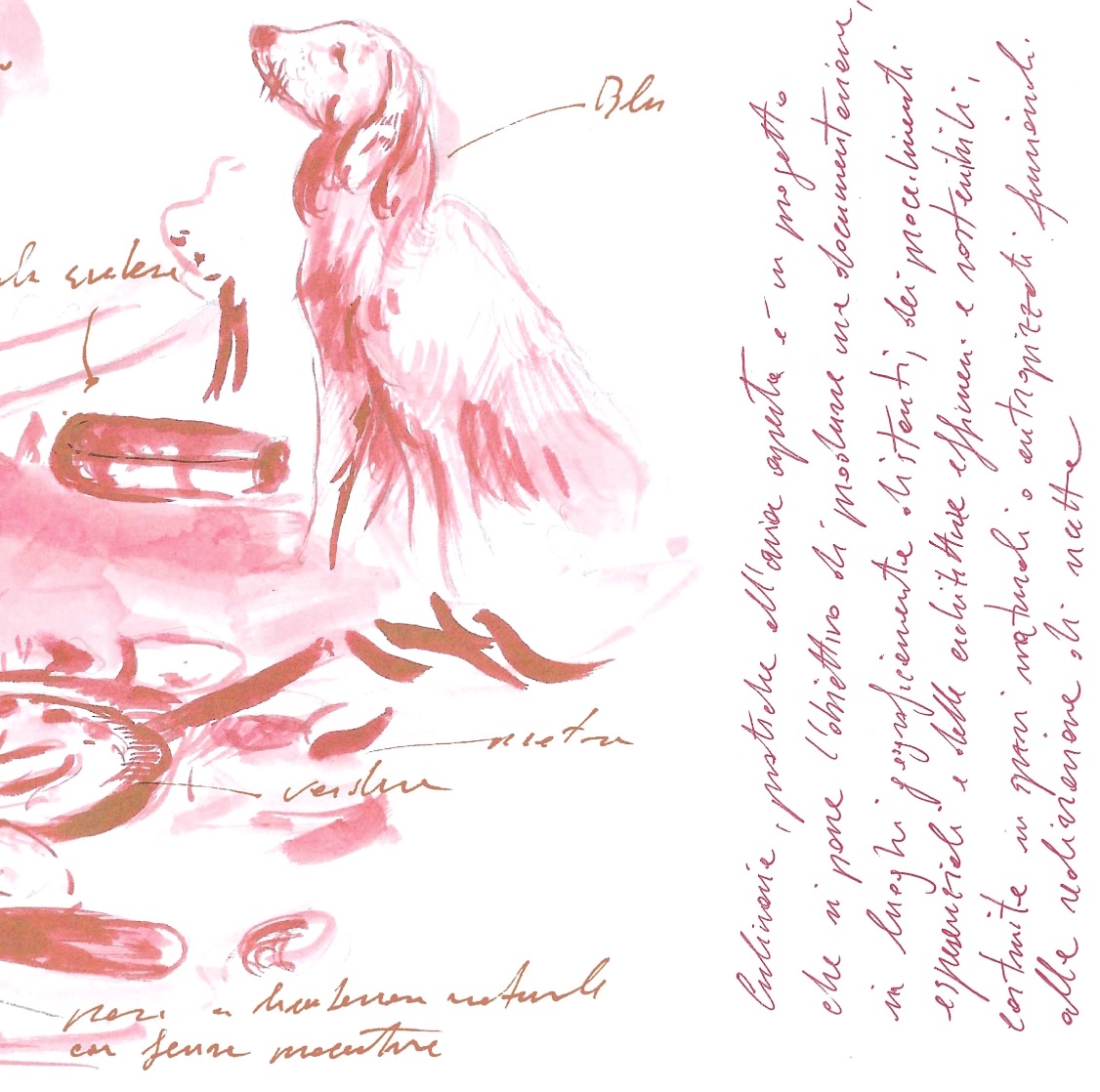 Culinaria - open air practices