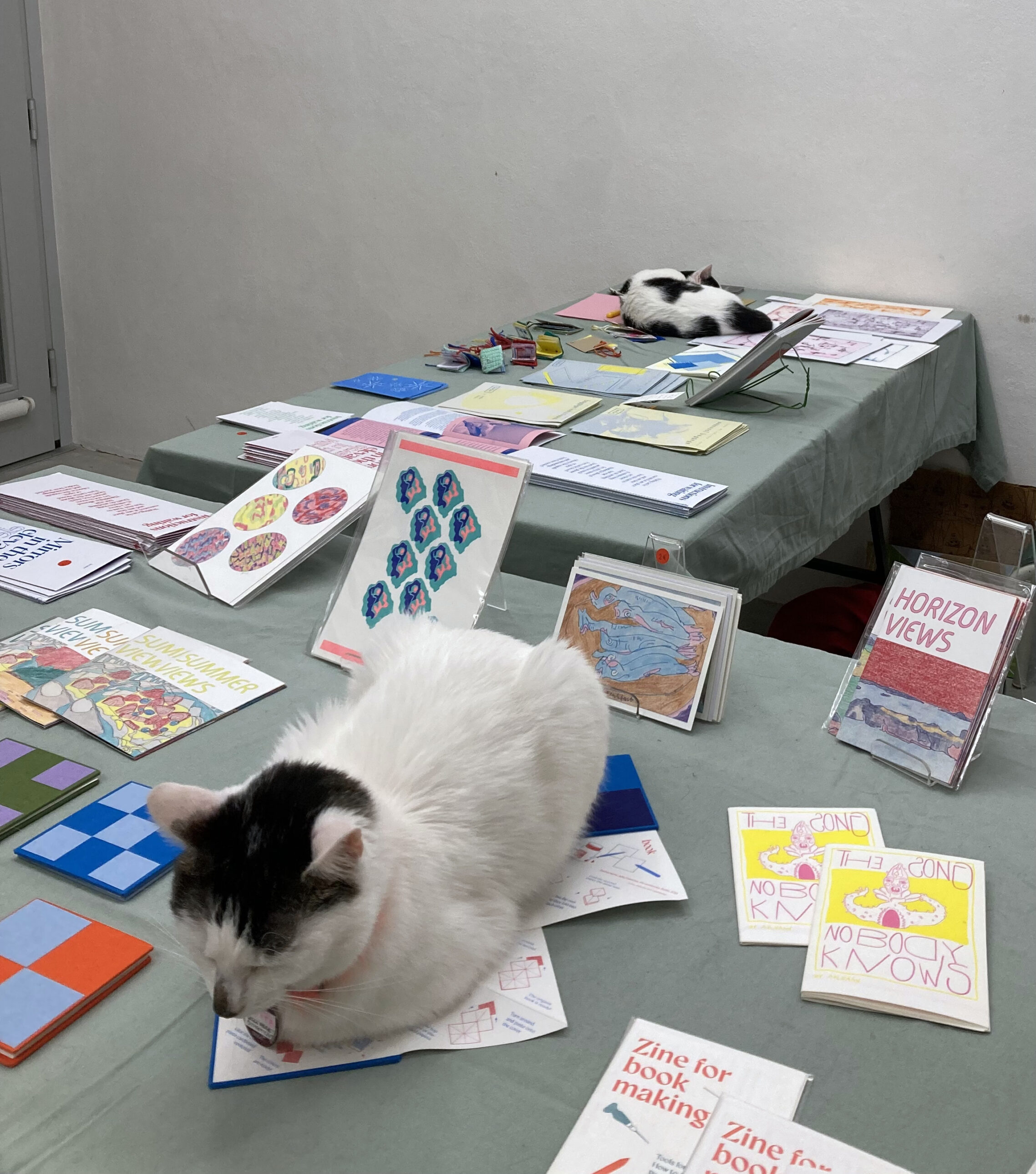 Installation view: krater & textur at WIRWIR Projektraum