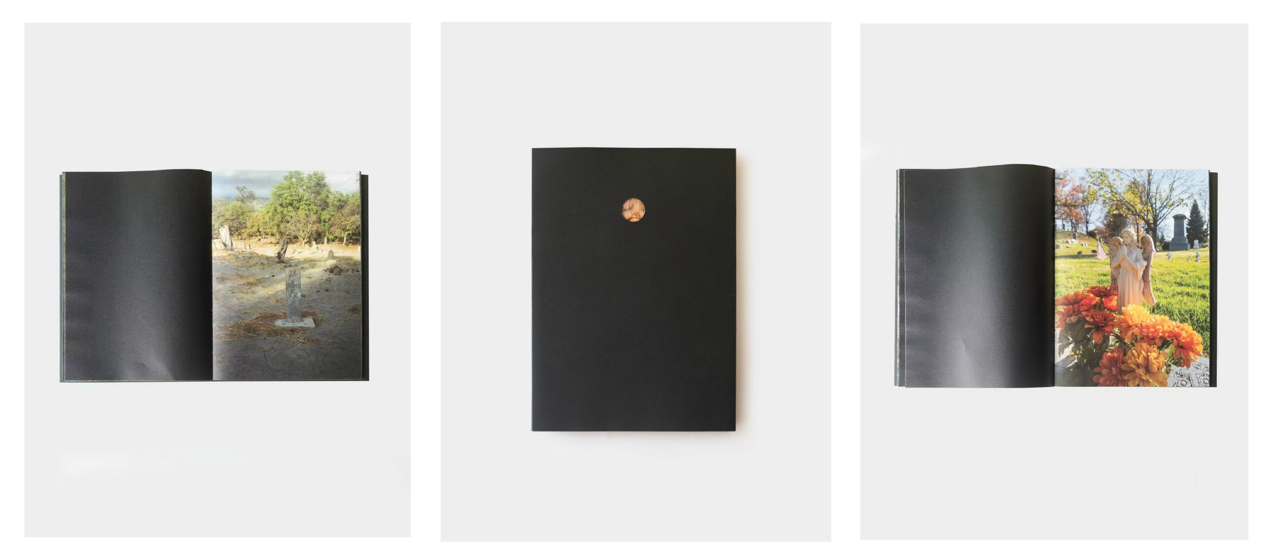 American Plog vol.2 Not the End