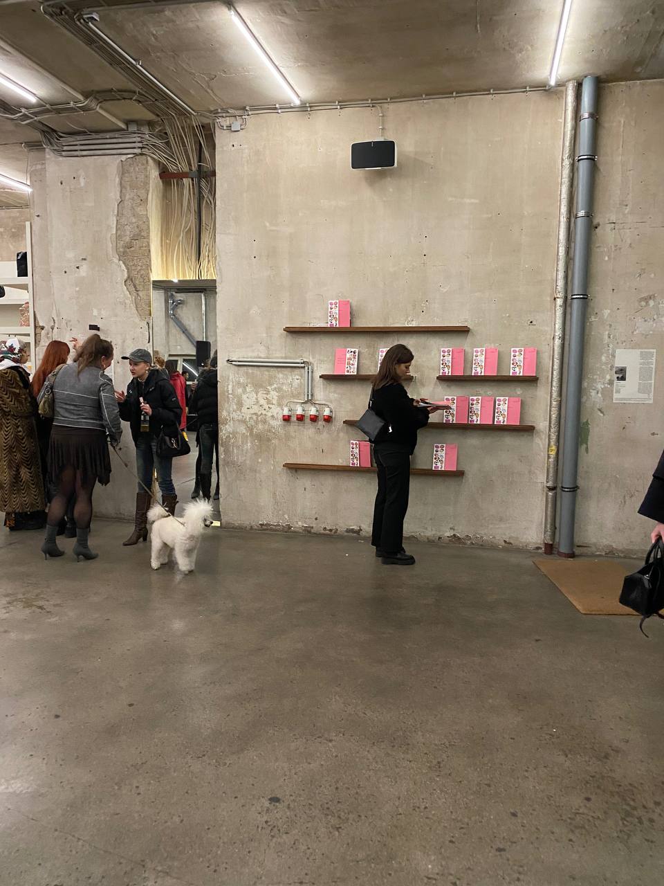 Launch party Voo Store