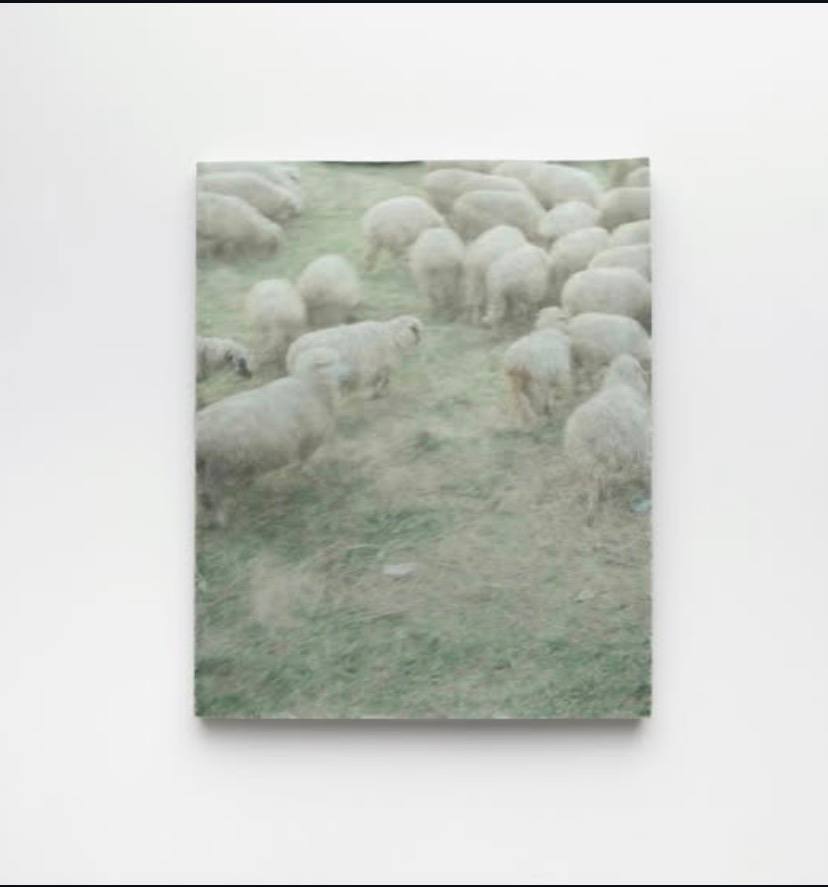 Oram Littoris Ultima Lego