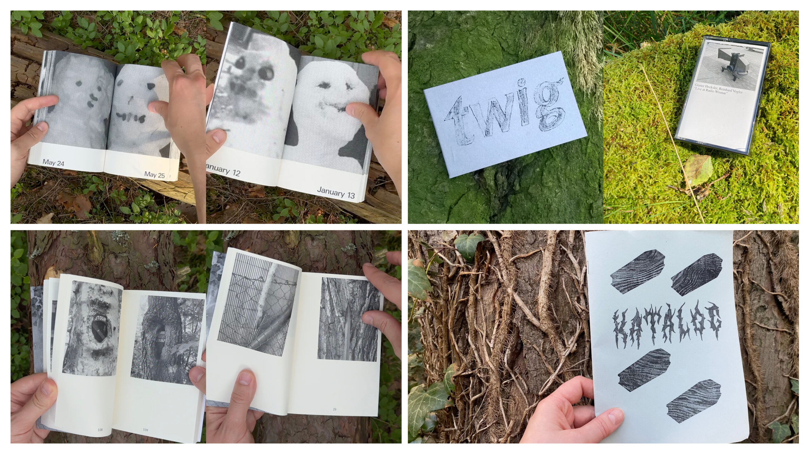 Dear Diary / Twig / Live at Radio Wismar / Grow / KataloG