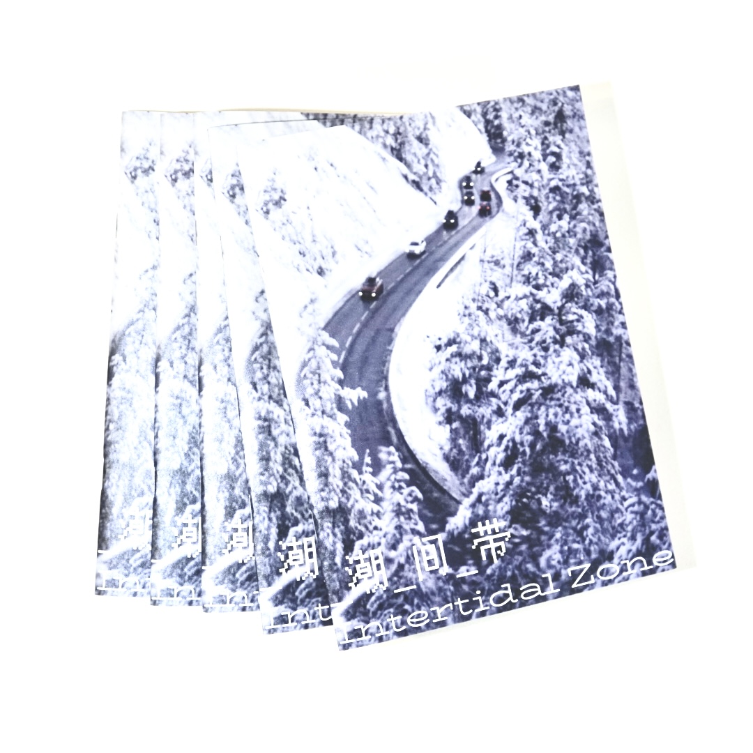 潮间带 Intertidal Zone