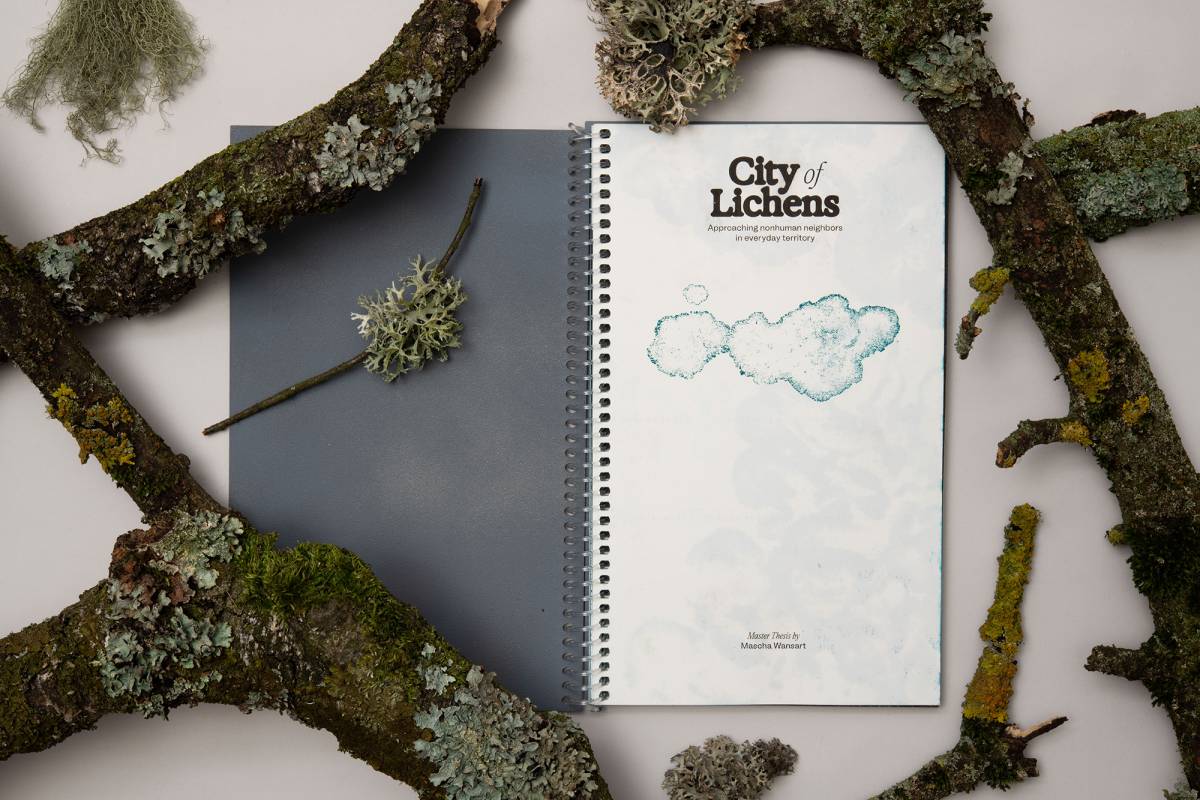 City of Lichens