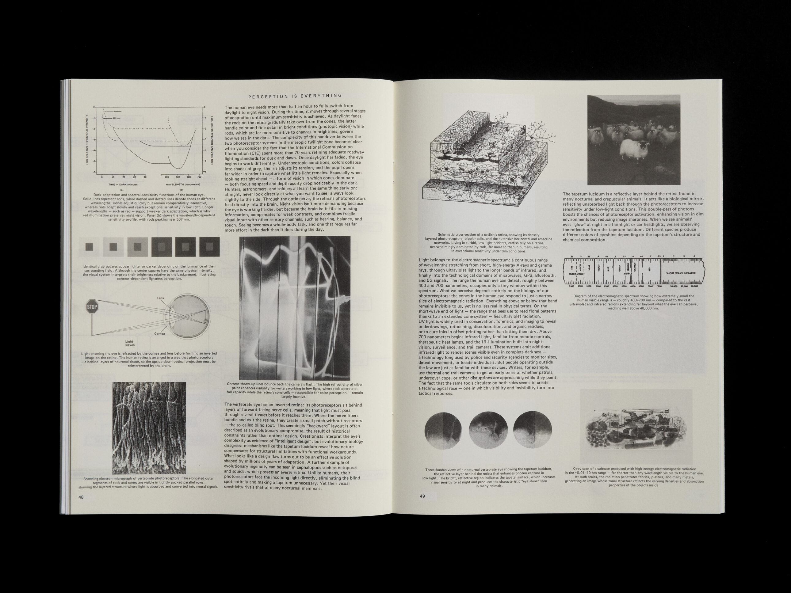 The Last Issue Spread 