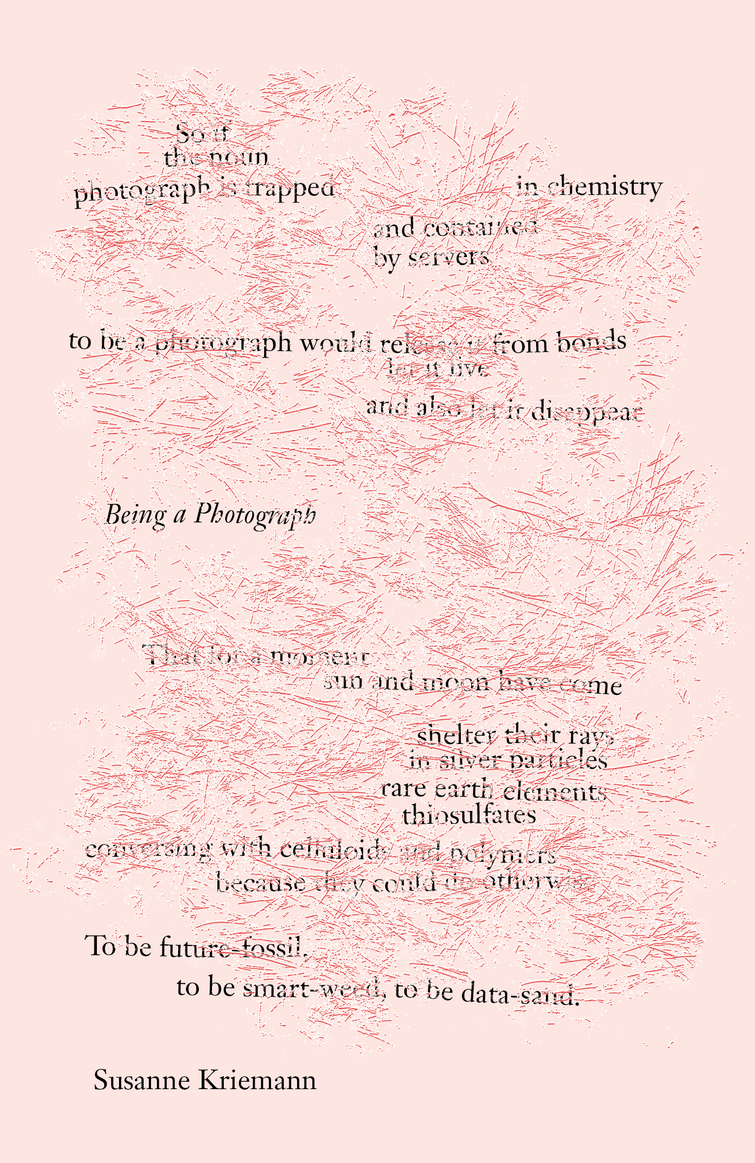 Being a Photograph