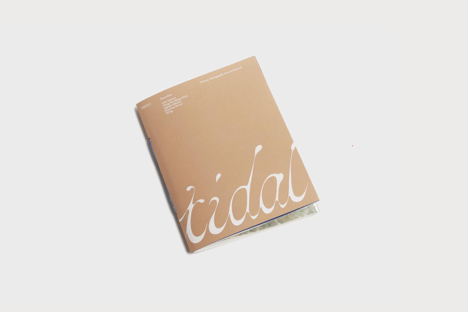 Tidal Issue 1: Shoreline