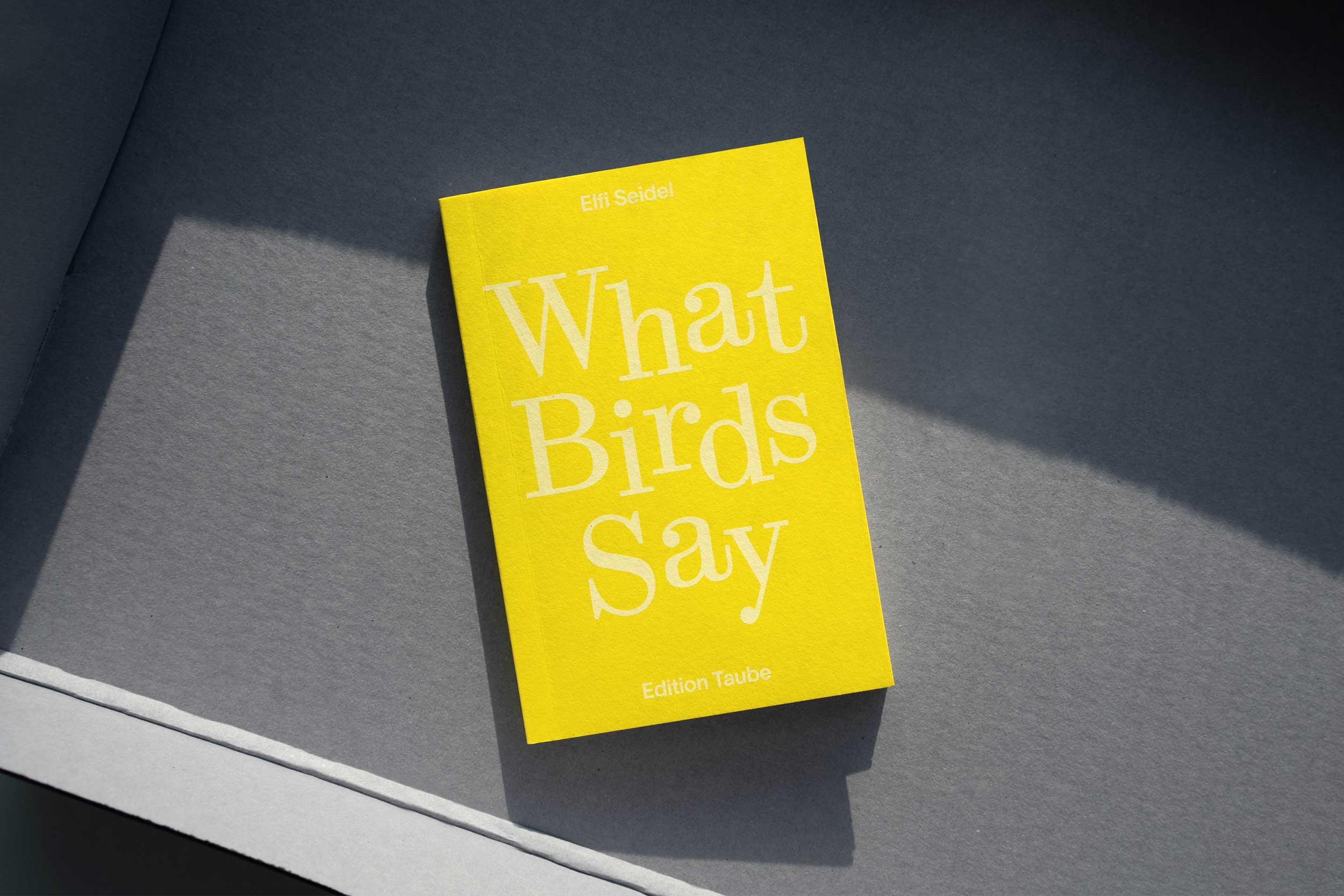 What Birds Say