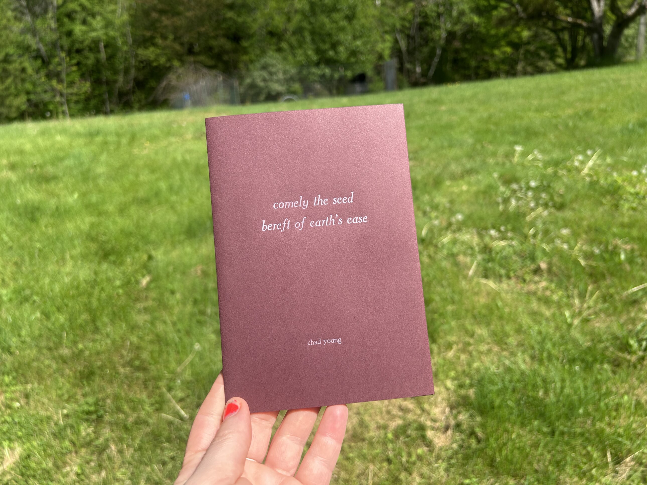 comely the seed bereft of earth's ease