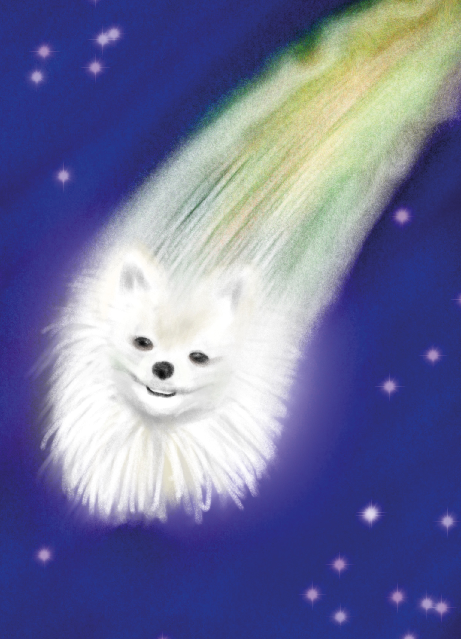 Star Dog