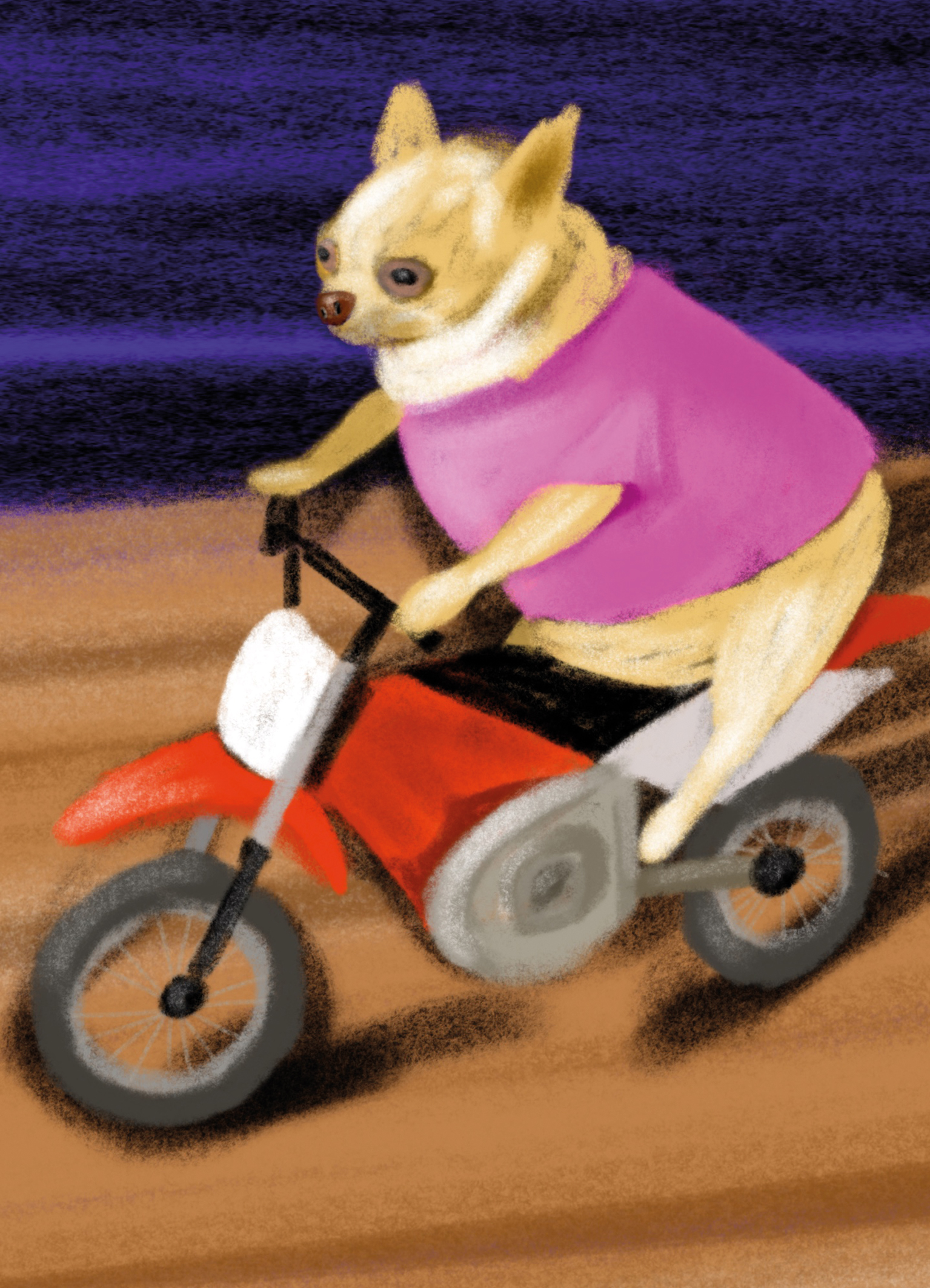 Perrito Super Gordito